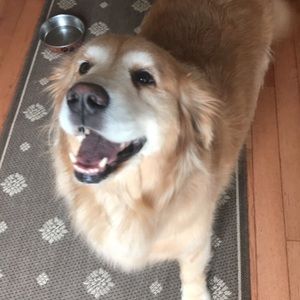 Meet your Posher, Abigail